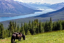 Canada-British Columbia-Chilko Lake Wilderness Pack Trip